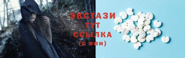 МДПВ Протвино